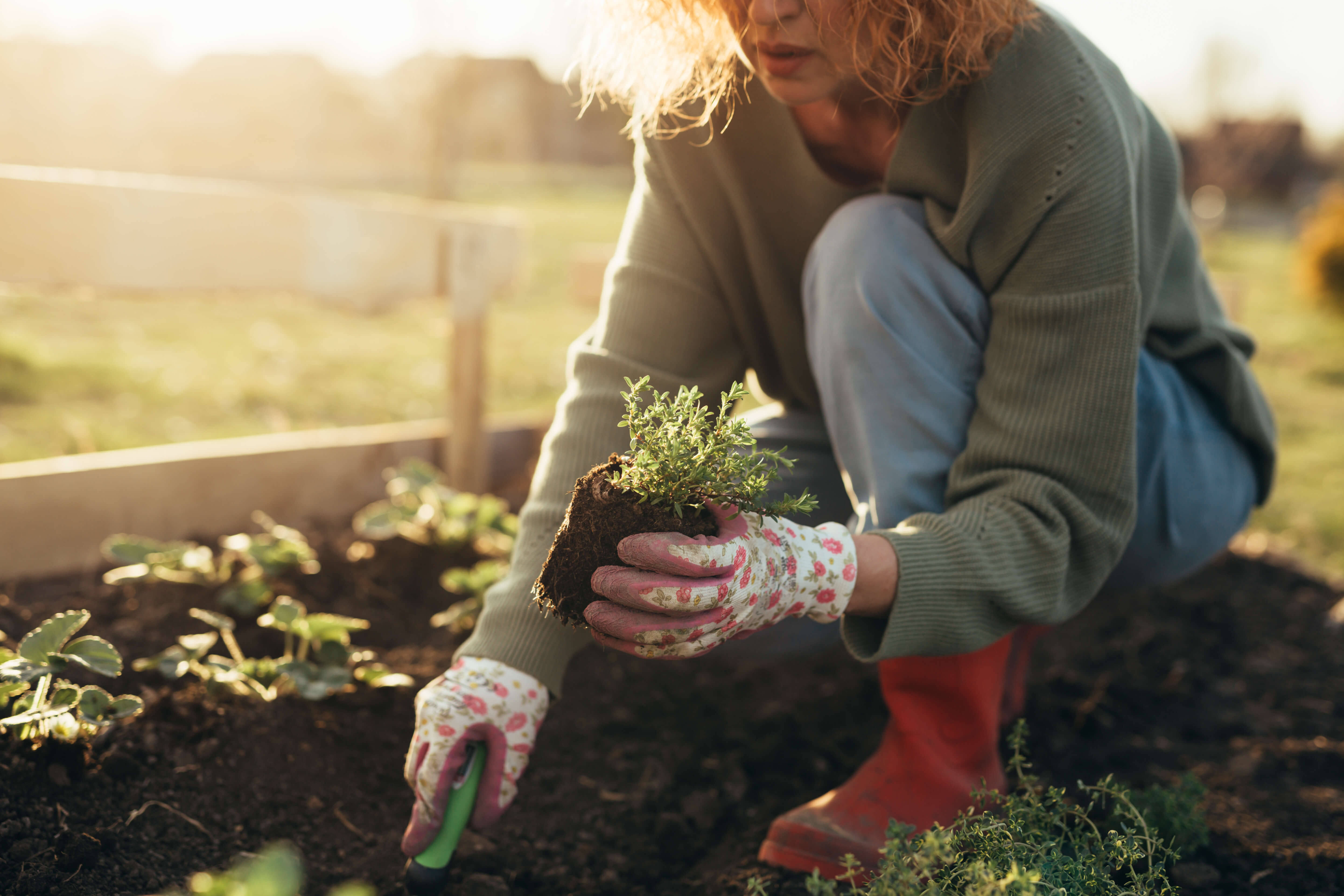 Golf, Gardening & Cottage Weekends: Treating the Aches of a London Summer
